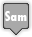 days,sam