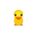 duck,animal,bird,twitter,yellow