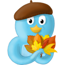 fall,leaves,no,text