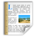 application,mime,template,vnd.oasis.opendocument.text