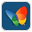 msn