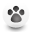 paw