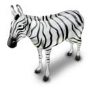 zebra