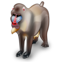baboon