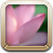 photosalt