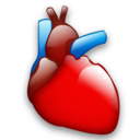 cardiology