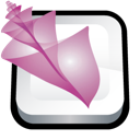 adobe,bridge