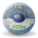 biology