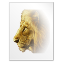dvi