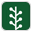 newsvine