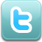 icon,twitter