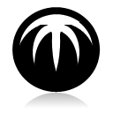 bitcomet