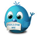bird,follow,me,twitter