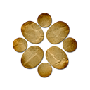 ziki
