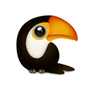 animal,bird,toucan