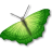 animal,butterfly,insect