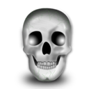 head,skeleton,skull