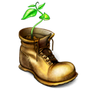 boot,plant,shoe