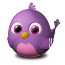 bird,pidgin,twitter