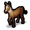 horse