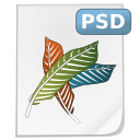 psd