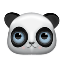 animal,bear,panda