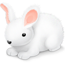 bunny,easter,rabbit