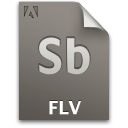 document,file,flv,sb,secondary
