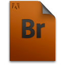 br,document,file,genericfile