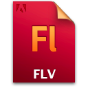 document,file,flv