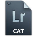 docgenericlrcolor,document,file