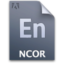 document,file,ncorproject