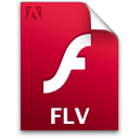 document,file,flv