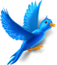 animal,bird,twitter