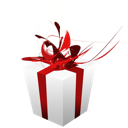 christmas,giftbox,present