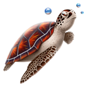animal,turtle