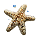 star