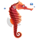 seahorse