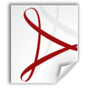 application,pdf