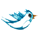 bird,follow,twitter