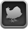 bird,twitter,twitterrific