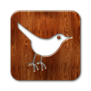 bird3,square,twitter