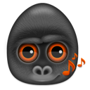 animal,gorilla,monkey