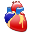 cardiology,heart,organ