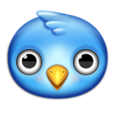 animal,bird,twitter
