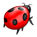 animal,bug,insect