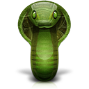 animal,cobra,snake
