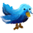 animal,bird,twitter