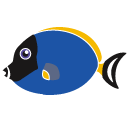 Acanthurus,leucosternum,fish