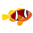Amphiprion,bicinctus,fish